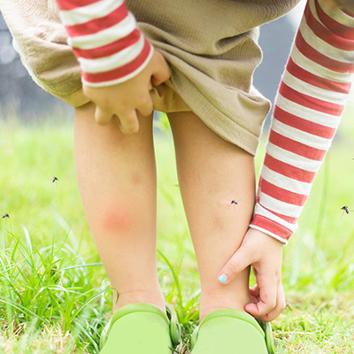 防疫時期建議戶外活動佳 避免蚊蟲叮咬有撇步